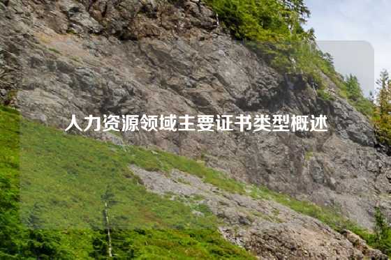 人力资源领域主要证书类型概述