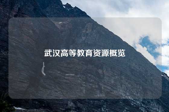 武汉高等教育资源概览