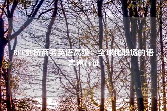 BEC剑桥商务英语高级:全球化职场的语言通行证