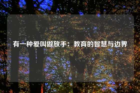 有一种爱叫做放手：教育的智慧与边界