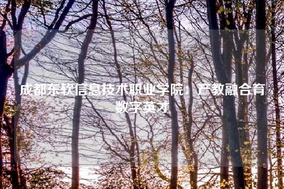 成都东软信息技术职业学院：产教融合育数字英才