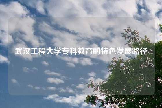 武汉工程大学专科教育的特色发展路径