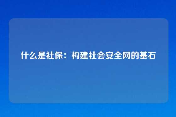 什么是社保：构建社会安全网的基石